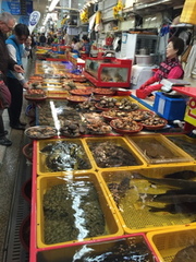 20160410 141301 IMG 3378