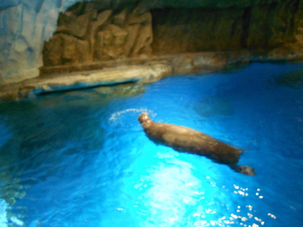 20160417 152920 DSCN7424